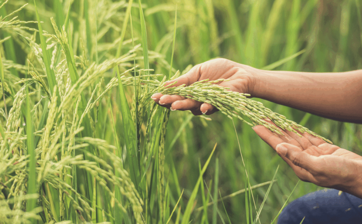 bursa-tarım-fuarı-ana-sayfa-slider-1