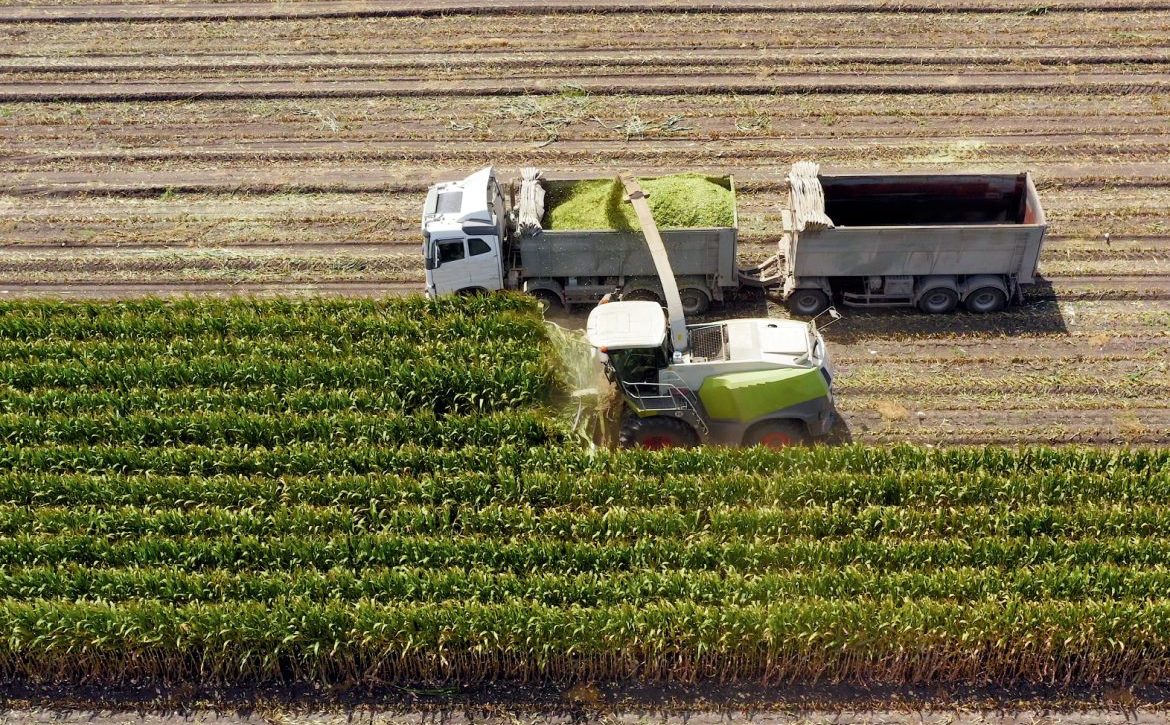 bursa tarım fuarı çiftçilere 8 milyar liralık destekleme
