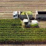 Çiftçilere 8.3 Milyar Liralık Destekleme