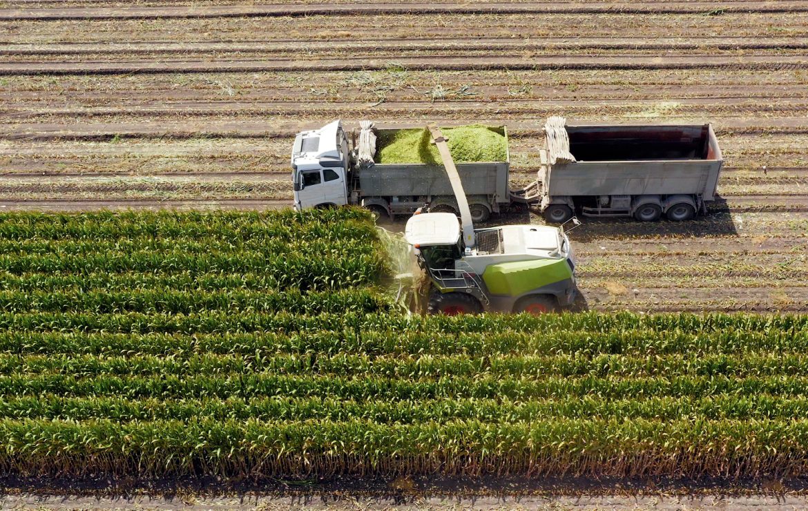 bursa tarım fuarı çiftçilere 8 milyar liralık destekleme