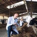 Hayvancılık ve Canlı Hayvan Yetiştiriciliği