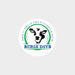 Bursa DSYB