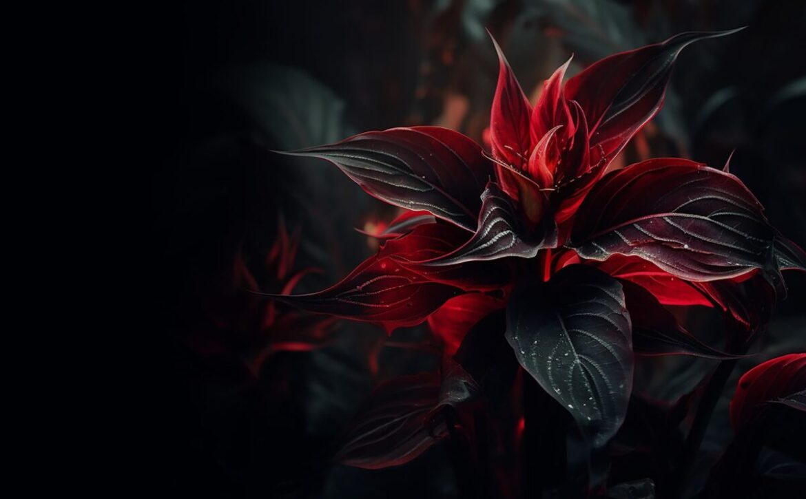 blog_skin_zinest_02-1200×800