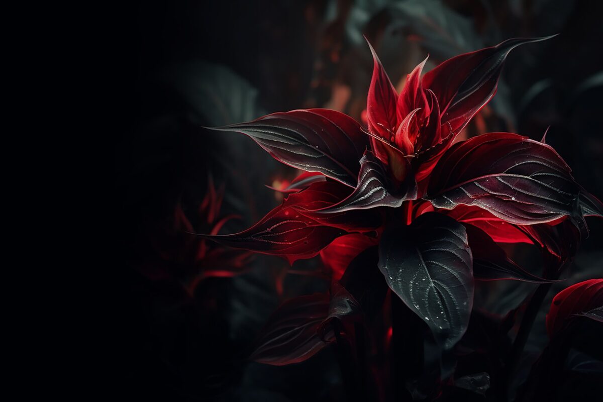 blog_skin_zinest_02-1200×800